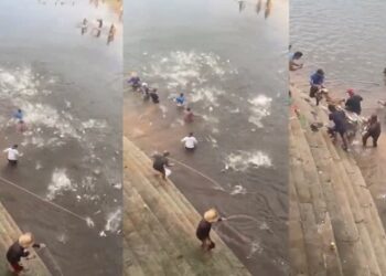 Fartura em Manacapuru: peixes pulam direto nas redes dos “cozinheiros” no Balneário do Miriti; veja vídeos