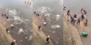 Fartura em Manacapuru: peixes pulam direto nas redes dos “cozinheiros” no Balneário do Miriti; veja vídeos