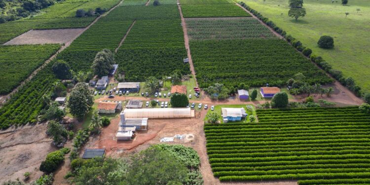 Crescimento da cafeicultura em Rondônia impulsiona visitas à Rota Turística do Café