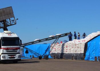 Rondônia alcança recorde e se consolida como segundo maior exportador do Norte, conforme relatório econômico