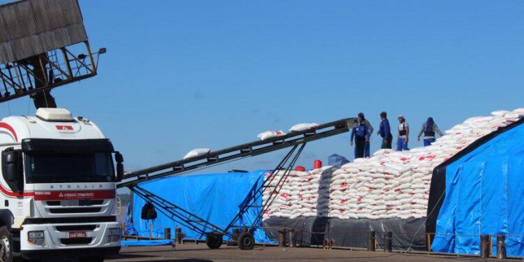 Rondônia alcança recorde e se consolida como segundo maior exportador do Norte, conforme relatório econômico
