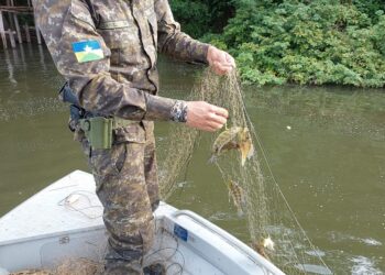 BPA e sedam Realiza Operação de Fiscalização Ambiental e Combate à Pesca Predatória no período do defeso