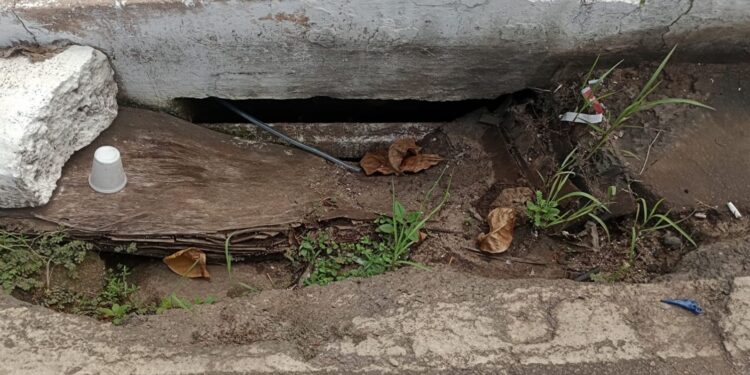 Prefeitura de Porto Velho vai instalar grades nas bocas de lobo para evitar entupimento do sistema de drenagem