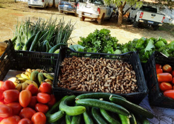 Mais de 350 produtores de Rondônia são aprovados no Programa de Aquisição de Alimentos Indígena