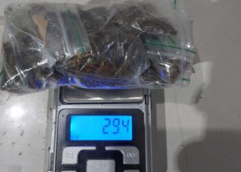Polícia Militar desmantela ponto de tráfico de drogas em Ariquemes