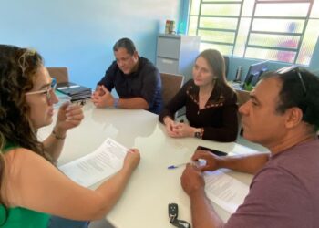 Deputada Lebrinha destina R$ 200 mil para usina fotovoltaica em escola de Jaru