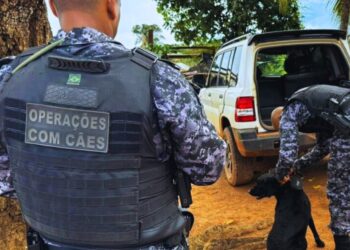 Polícia Militar e Polícia Civil realizam operação e prendem suspeitos de furtos e tráfico de drogas em Espigão do Oeste