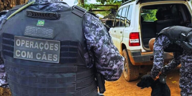 Polícia Militar e Polícia Civil realizam operação e prendem suspeitos de furtos e tráfico de drogas em Espigão do Oeste