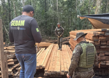 Polícia Ambiental Desativa Serraria Ilegal e Prende Suspeito em estação ecológica