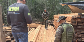 Polícia Ambiental Desativa Serraria Ilegal e Prende Suspeito em estação ecológica