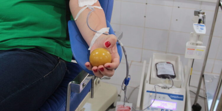 Fhemeron busca parcerias para manter estoque de sangue seguro e divulga horário especial de coleta no Carnaval