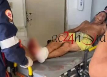 Jovem é ferido a tiro ao tentar colher cajá no Cidade Nova