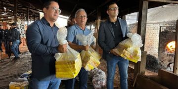 Ministério Público de Rondônia supervisiona incineração de mais de 700 kg de entorpecentes