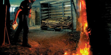 POLÍCIA CIVIL DE RONDÔNIA INCINERA MAIS DE 700KG DE DROGAS EM PORTO VELHO