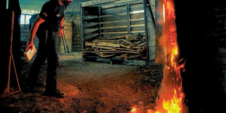 POLÍCIA CIVIL DE RONDÔNIA INCINERA MAIS DE 700KG DE DROGAS EM PORTO VELHO