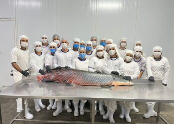 Integração amplia área de comércio à indústria de peixes do Vale do Paraíso