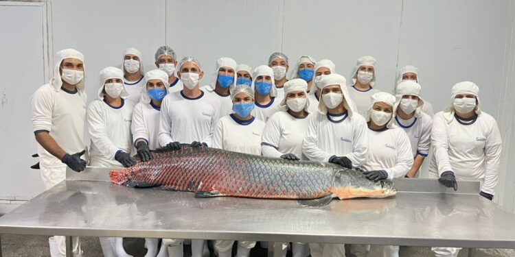 Integração amplia área de comércio à indústria de peixes do Vale do Paraíso