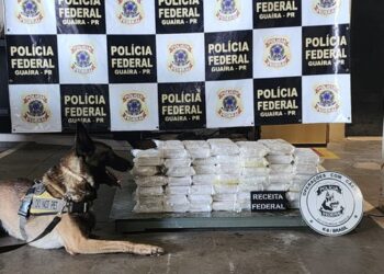 Ação conjunta da PF, PMPR, DOF, PMMS e RFB resulta na apreensão de 50 kg de cocaína