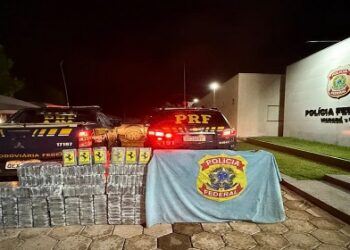 PF prende caminhoneiro com mais de meia tonelada de cocaína