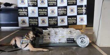 Ação conjunta da PF, PMPR, DOF, PMMS e RFB resulta na apreensão de 50 kg de cocaína