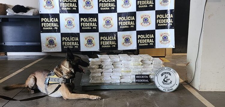 Ação conjunta da PF, PMPR, DOF, PMMS e RFB resulta na apreensão de 50 kg de cocaína