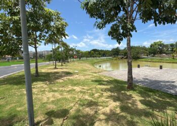 Parque da Cidade será reabertura com muitas novidades neste sábado (15)