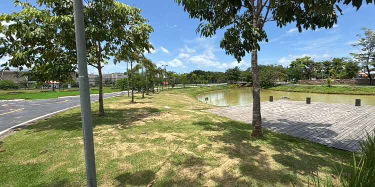 Parque da Cidade será reabertura com muitas novidades neste sábado (15)