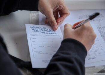 Vacinação antirrábica no Centro de Zoonoses passa a ser realizada apenas com agendamento