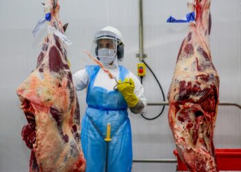 Plataforma Geração Emprego do governo de RO apresenta mais de 2 mil vagas de emprego com destaque ao setor frigorífico