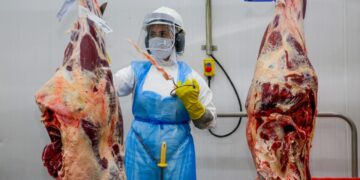 Plataforma Geração Emprego do governo de RO apresenta mais de 2 mil vagas de emprego com destaque ao setor frigorífico