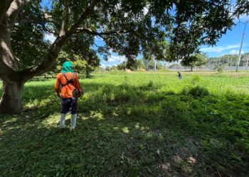 Serviço contínuo de limpeza no Skate Parque contribui para a saúde e o bem-estar da população