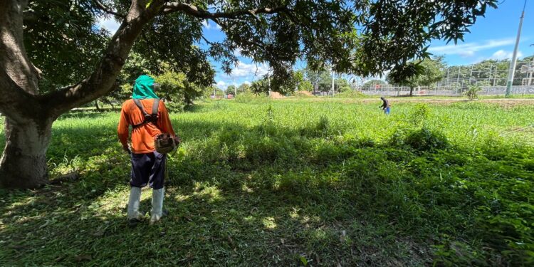 Serviço contínuo de limpeza no Skate Parque contribui para a saúde e o bem-estar da população