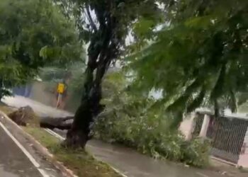 Chuva neste sábado foi equivalente a 42% do volume previsto para fevereiro