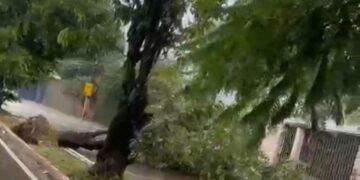 Chuva neste sábado foi equivalente a 42% do volume previsto para fevereiro