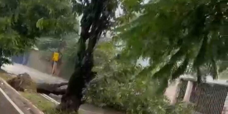 Chuva neste sábado foi equivalente a 42% do volume previsto para fevereiro