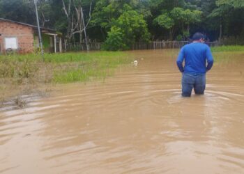 Ação entre Defesa Civil e Semasf auxilia na remoção de famílias atingidas pela chuva