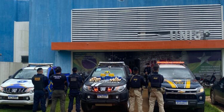 Operação conjunta entre PM, PC e PRF apreende cerca de 30kg de droga em Cujubim