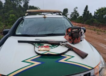 Batalhão Ambiental prende quatro suspeitos e apreende arma e motosserra em área de desmatamento da UHE Santo Antônio, em Porto Velho