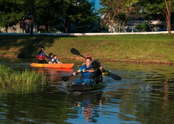 Parque da Cidade é reaberto ao público com programação especial