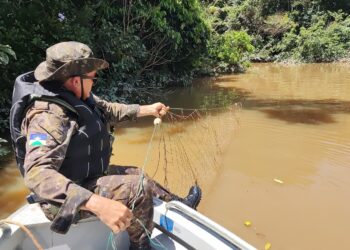 Operação IARA combate pesca predatória na Bacia do Madeira