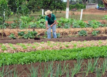 Trabalhos do deputado Alan Queiroz proporcionam melhorias para a agricultura do estado de Rondônia