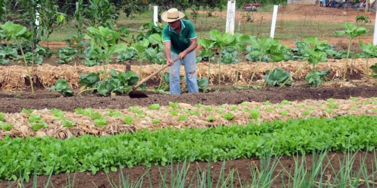 Trabalhos do deputado Alan Queiroz proporcionam melhorias para a agricultura do estado de Rondônia
