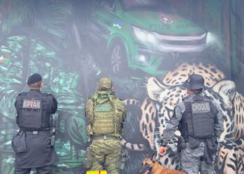 OPERAÇÃO FRONTEIRA SEGURA APREENDE DROGA ESCONDIDAS EM VEÍCULO NA BR-425