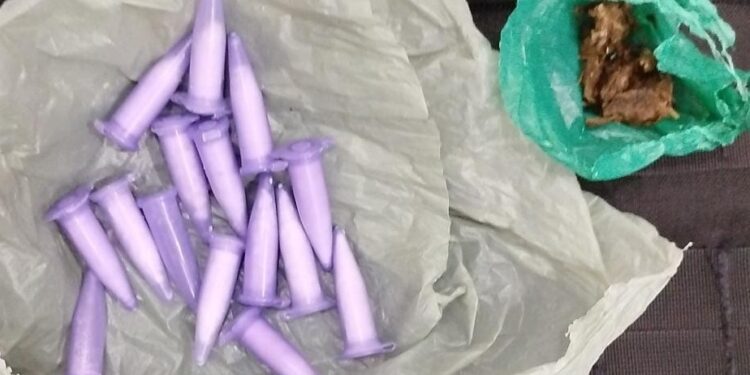 POLÍCIA MILITAR APREENDE DROGAS E CONDUZ SUSPEITO EM CHUPINGUAIA