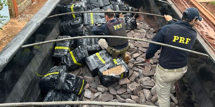PRF apreende 2,6 toneladas de maconha e munições em Campo Grande (MS)
