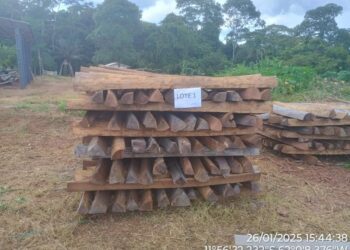 Polícia Militar Ambiental em Alta Floresta D’Oeste divulga edital para Leilão de Madeira Apreendida