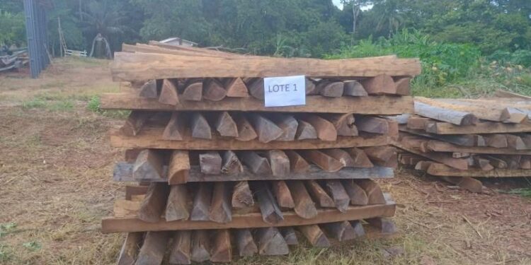 Polícia Militar Ambiental em Alta Floresta D’Oeste divulga edital para Leilão de Madeira Apreendida