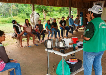 Mutirão nas comunidades São Luís e Serrinha fortalece agricultura familiar com Ater Indígena em Rondônia