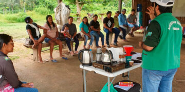 Mutirão nas comunidades São Luís e Serrinha fortalece agricultura familiar com Ater Indígena em Rondônia