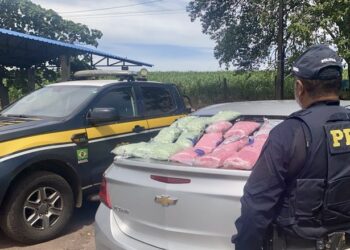 PRF apreende 90 mil comprimidos de ecstasy e faz 2ª maior apreensão da história do órgão – VEJA O VÍDEO